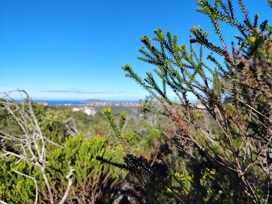 0 Bedroom Property for Sale in Schoongezicht Western Cape
